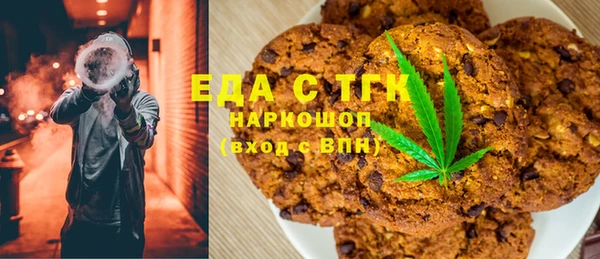 спиды Ельня